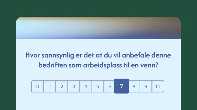 Spørreundersøkelsesmal for ENPS