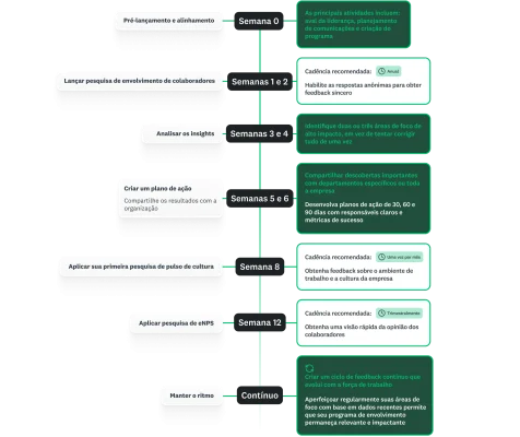 Infográfico de um cronograma de 90 dias mostrando cada semana, com as etapas de envio de pesquisas, análise e as próximas etapas.