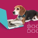 Quatro formas de usar questionários no dia a dia