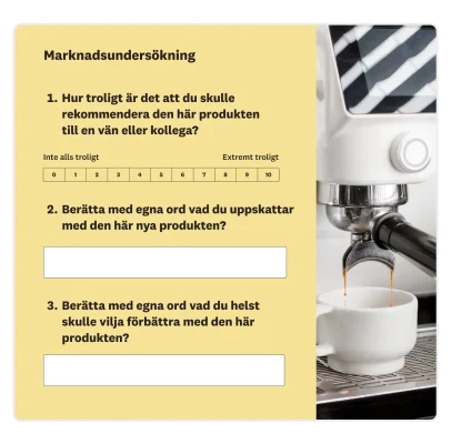 Exempel på marknadsenkät