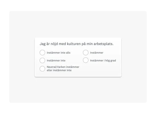Exempel på skala med 5 beskrivningar