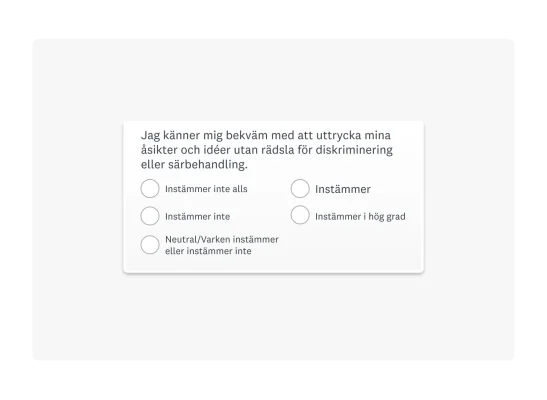 Exempel på flervalsfråga i enkätformat