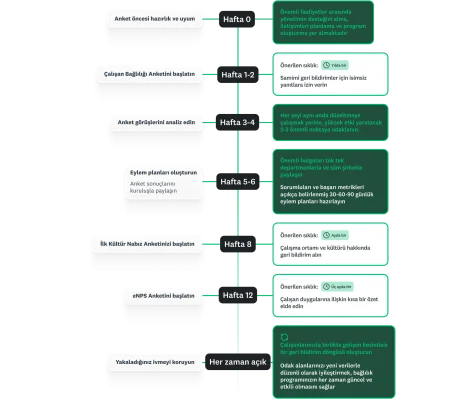 Anketlerin gönderilmesi, analiz edilmesi ve sonraki adımlar için her hafta atılması gereken adımları gösteren 90 günlük bir yol haritasına ilişkin infografik