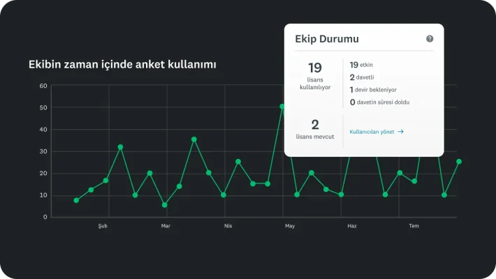Ekibin zaman içindeki anket kullanımını gösteren bir grafik, yanında 19 lisansın kullanıldığı ve 2 lisansın kullanılabilir olduğu ekip durumunu gösteren bir tablo