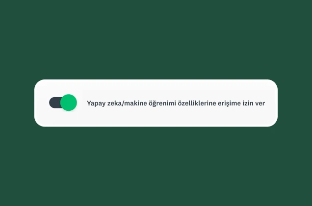 Yapay zeka/makine öğrenimi özelliklerine erişime izin ver yazan bir düğme
