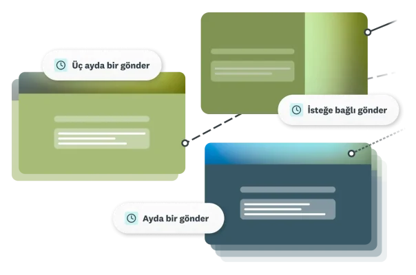 Anketleri birbirine bağlayan çizgiler ile üç ayda bir, aylık veya isteğe bağlı gönderme seçenekleri