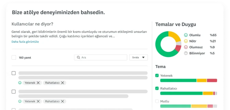 Bir ankete ilişkin temaları ve duygu analizini gösteren grafikler