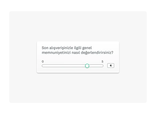 kaydırılabilen bir ölçek içeren anket sorusu örneği