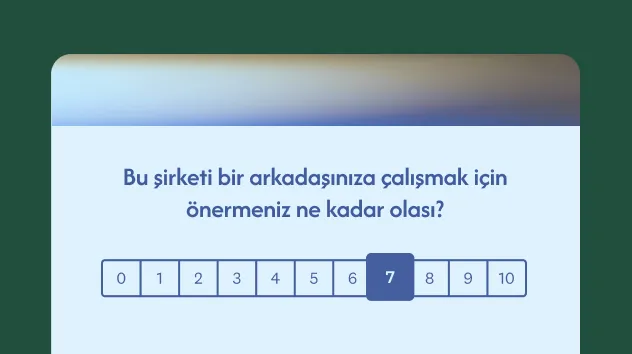 ENPS anket şablonu