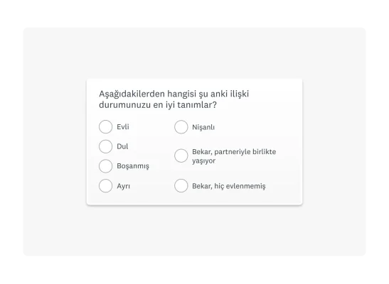 Demografik segmentasyon anketlerine ilişkin soru örneği: Aşağıdakilerden hangisi şu anki ilişki durumunuzu en iyi tanımlar?