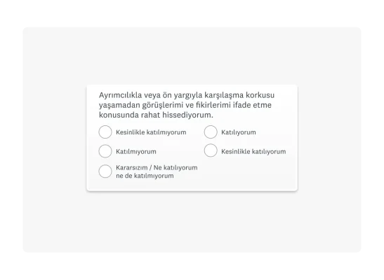 Çoktan seçmeli soru örneği