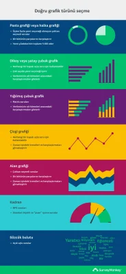 Anket verisi analiziniz için doğru grafik türünü seçme
