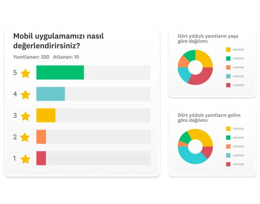 “Mobil uygulamamızı nasıl değerlendirirsiniz?” sorusu ile dört yıldızlı yanıtların yaşa ve gelire göre dağılımını gösteren iki halka grafiğinin ekran görüntüleri