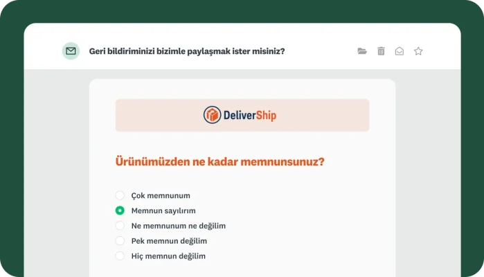 Mesaj içine yerleştirilmiş DeliverShip ürün memnuniyeti anketini gösteren bir e-posta önizlemesi.