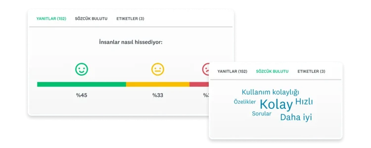 SurveyMonkey'deki anket sonuçlarından oluşturulan bir sözcük bulutunun ekran görüntüsü