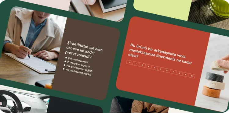 Çeşitli soru formu şablonlarından oluşan bir kolaj. Soru formlarından birinde işe alım uzmanının profesyonelliğiyle, diğerinde ise bir ürünü birine önermenin ne kadar olası olduğuyla ilgili bir soru yer alıyor.