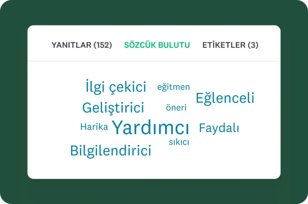 "Yardımcı" ve "Bilgilendirici" gibi daha sık görülen sözcüklerin daha büyük yazıldığı ve anket yanıtlarından elde edilen temel kavramları gösteren bir sözcük bulutu grafiği.