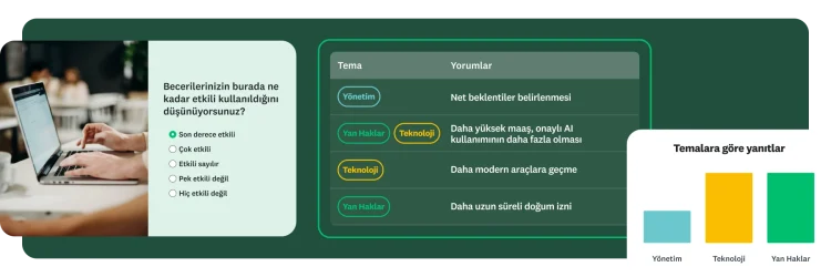 Dizüstü bilgisayarında bir şeyler yazan bir kişi ile yanında bir anket sorusu ve temalara göre gruplandırılmış yanıtlar.
