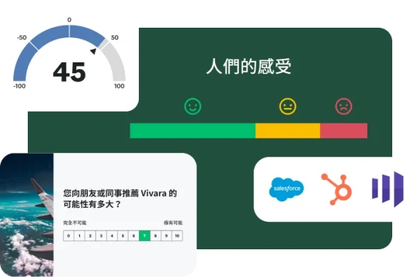 調查問卷問題詢問「您向朋友或同事推薦 Vivara 的可能性有多大」,旁邊以堆疊橫條圖顯示人們的感受,並有一張 NPS 為 45 分的示意圖