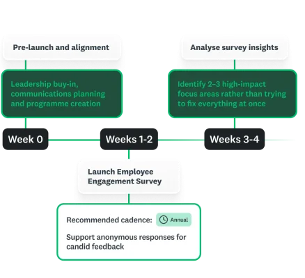 Employee engagement programme roadmap showing timeline steps from Week 0 to Week 4 for survey pre-launch, alignment and initial data insights.