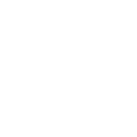 Expert logo
