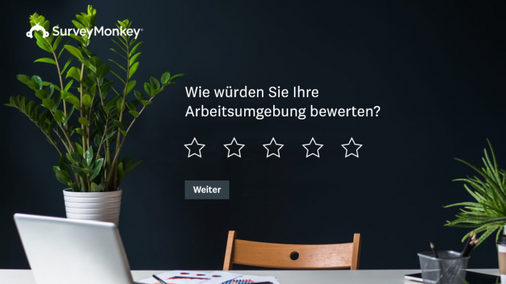 Professioneller Fragebogen Layout