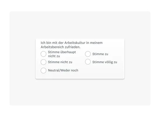 Beispiel einer 5-Punkte-Skala mit ausformulierten Optionen
