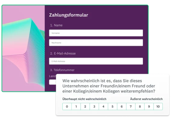 Screenshot eines Online-Zahlungsformulars von SurveyMonkey
