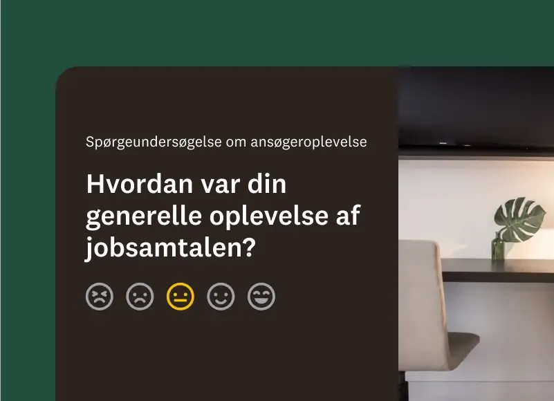 Skærmbillede af spørgsmål om, hvordan ansættelsesprocessen var.