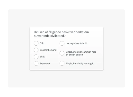 Eksempel på demografisk spørgsmål til spørgeundersøgelse