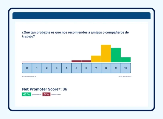 Estructura de la puntuación de NPS