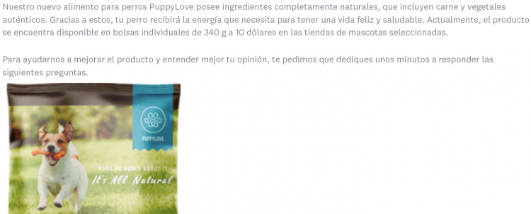 Ejemplo de una página de presentación sobre alimento para perros