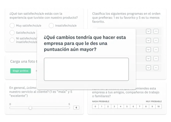 Captura de pantalla que muestra diferentes tipos de preguntas de una encuesta.