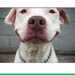 Screenshot 2019-11-14 23.17.40