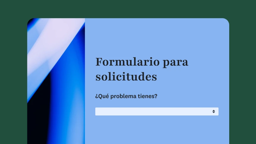 Captura de pantalla de la plantilla de formulario para solicitudes