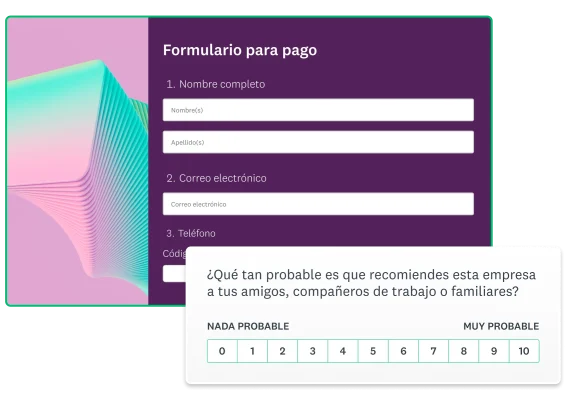 Captura de pantalla de un formulario de pago