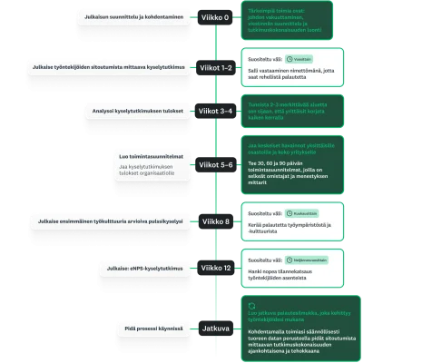 Infografiikka 90 päivän etenemissuunnitelmasta, jossa näkyy kyselytutkimusten lähettäminen ja analysointi sekä seuraavat vaiheet viikoittain
