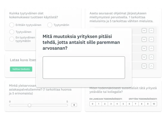 Näyttökuva erilaisista kyselytutkimuksen kysymystyypeistä.