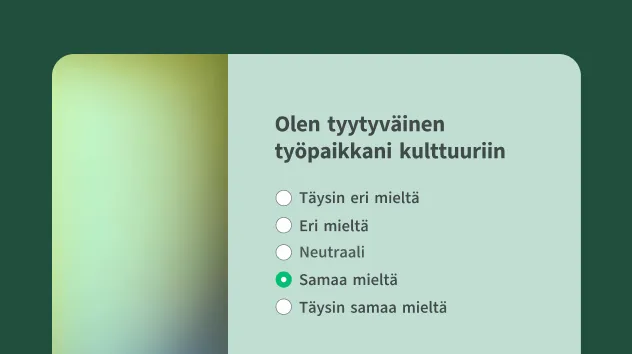 Työkulttuuria arvioiva pulssikyselymalli