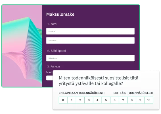 Näyttökuva maksulomakkeesta