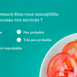 Survey 2_mockup_fr-FR