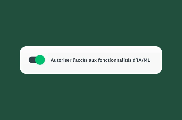 Capture d’écran du bouton de l’option Autoriser l’accès aux fonctionnalités IA/ML