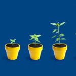 Série de pots avec une fleur qui pousse un peu plus de pot en pot