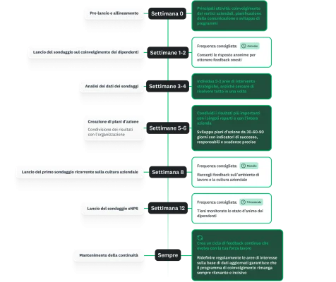Infografica di una tabella di marcia di 90 giorni con i vari passaggi per ogni settimana, dall'invio dei sondaggi, all'analisi, fino ai passi successivi
