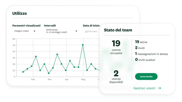 Grafico che mostra l'utilizzo delle indagini da parte del team nel corso del tempo, accanto a una tabella che mostra lo stato del team, con 19 utenze utilizzate e 2 utenze disponibili