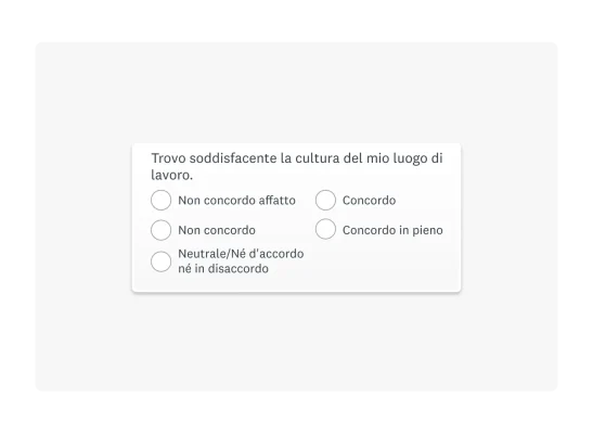 Esempio di scala di valutazione con voci formulate a 5 punti