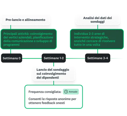 Roadmap del programma di coinvolgimento dei dipendenti con le fasi temporali dalla settimana 0 alla settimana 4 prima del lancio del sondaggio, l'allineamento e l'analisi dei dati iniziali.