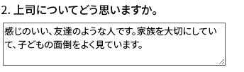 質的な質問への回答の例