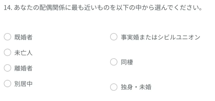 デモグラフィック質問