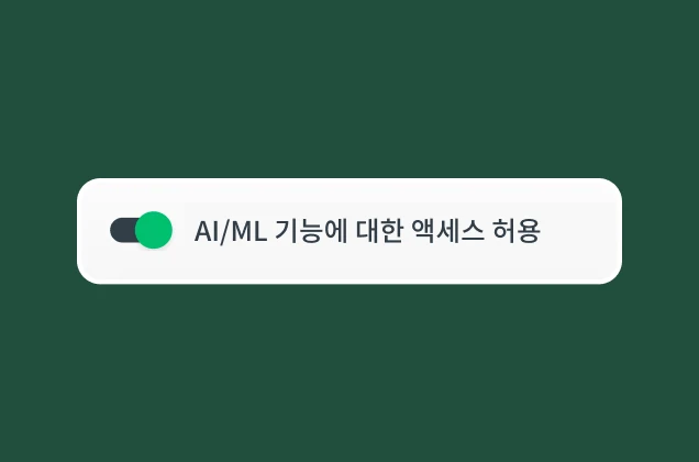 AI/ML 기능에 대한 액세스를 허용하는 토글 버튼